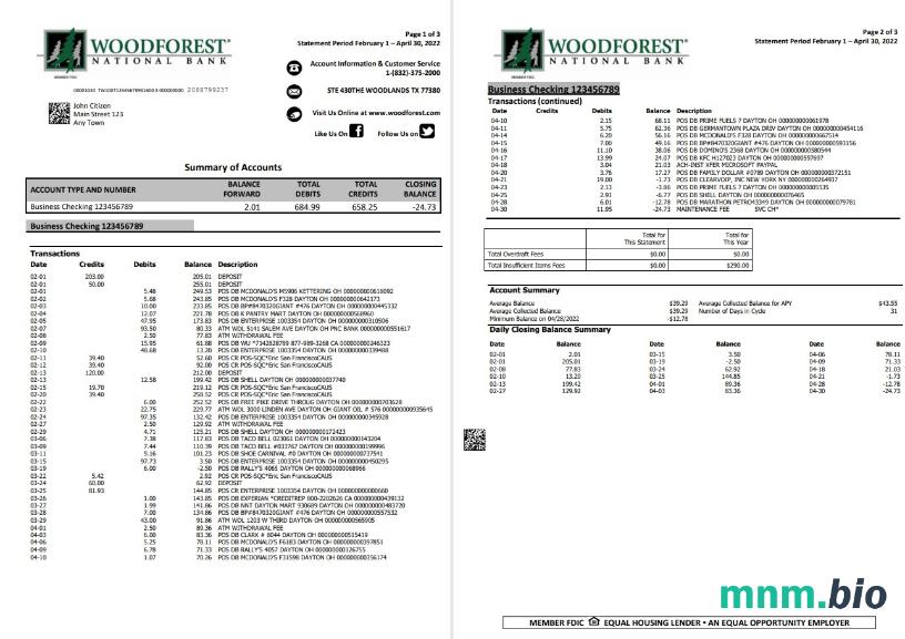 Szablon wyciągu bankowego USA West Alabama w programie Word i PDF